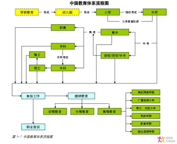 中国教育体系流程图